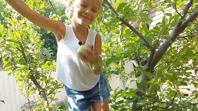1 класс. Повторение с Варюшей смотреть онлайн