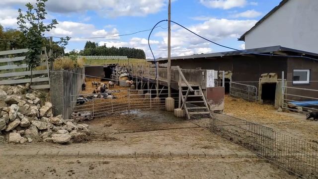 #03 Landvergnügen Biohof Althaus смотреть онлайн