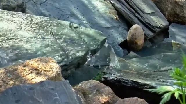 Как мало тех, кто пьёт живую воду!!! смотреть онлайн