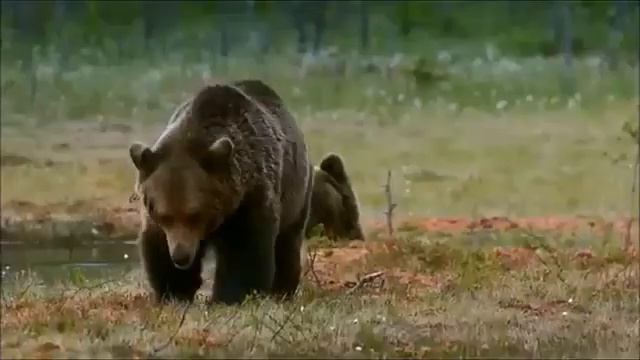 Всё что нас окружает 1 смотреть онлайн