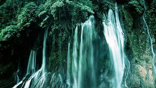 Природа смотреть онлайн