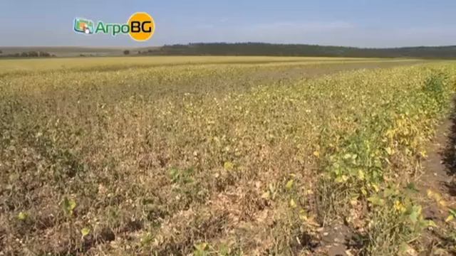 Еуралис представи високодобивни сортове соя смотреть онлайн