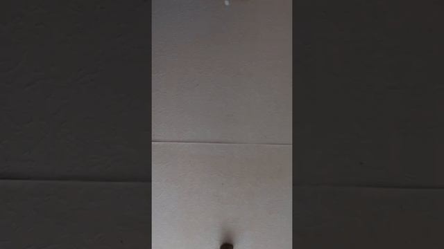 фарид и завры фильм смотреть онлайн