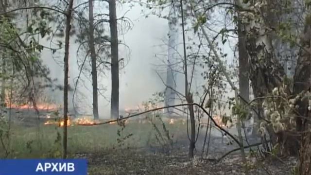 Высокая пожарная опасность смотреть онлайн