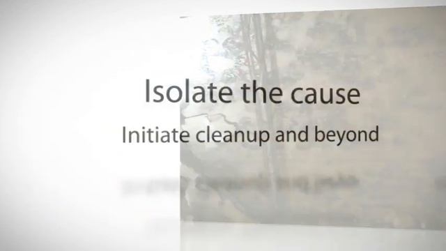 Mold Mildew Remediation Atlanta смотреть онлайн