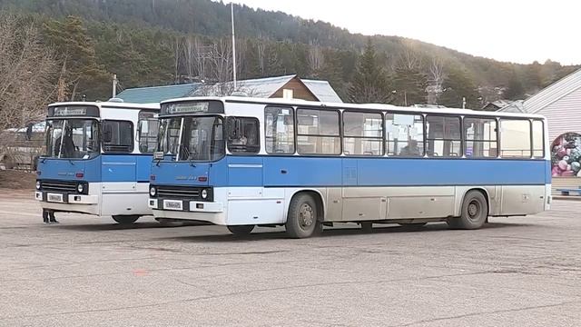 12-летнего мальчика высадили из автобуса жесть смотреть онлайн