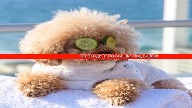 Как избавиться от лимфатических отеков смотреть онлайн