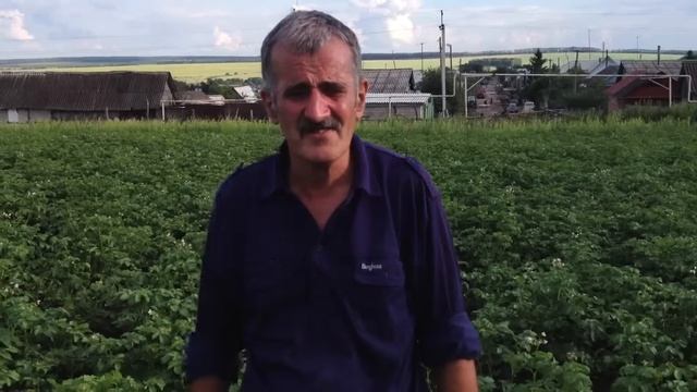 IMG 0860 смотреть онлайн