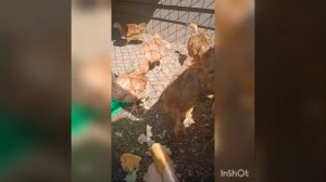 ДЕЛАЮЩИЙ ДОБРО или SAKPANOV MANSUR. МАНСУР ОТКРЫВАЕТ СБОР СЕРГЕЮ НА БАНЮ. ПОЕЗДКА К ВРАЧУ ОТМЕНИЛАС