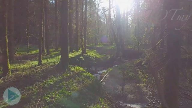 TOTmy (ТОТмай) Не буди медведя русского video 2021 смотреть онлайн