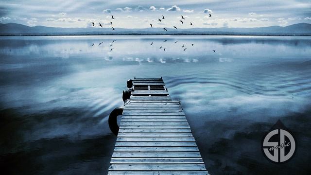 AnimoEx - Mind Is Like Water (Original Mix)