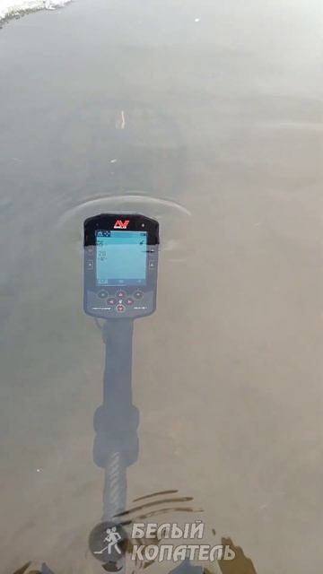 Minelab Manticore первое погружение! Поехали... смотреть онлайн