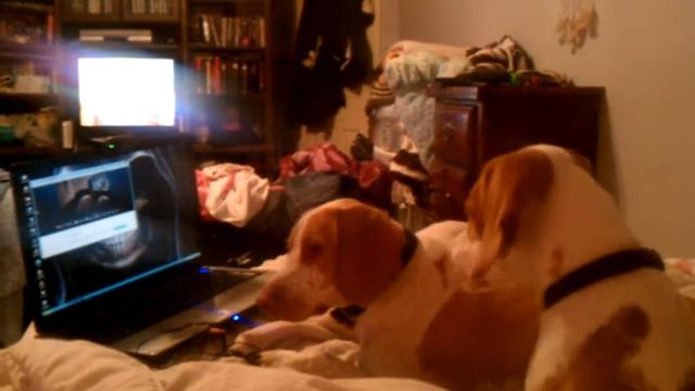 Patches an squirt watching Jamie on skype смотреть онлайн