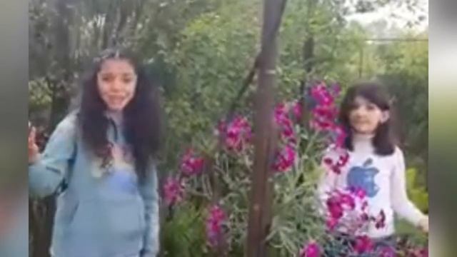 мегрельскаия поэма მეგრული ლექსი mingrelian poem #мерельскийязик смотреть онлайн