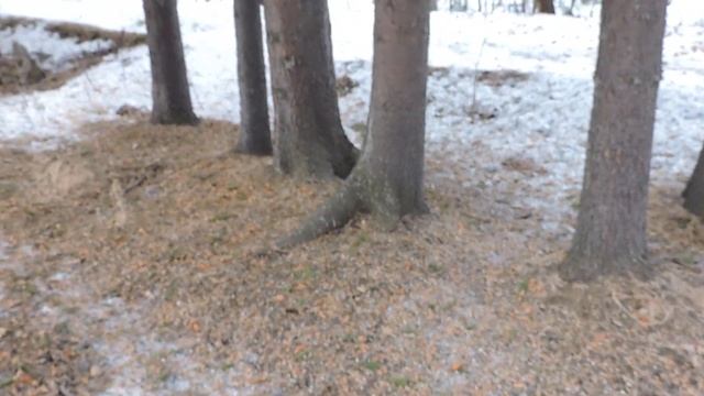 "Белочки уже знают свои места" смотреть онлайн