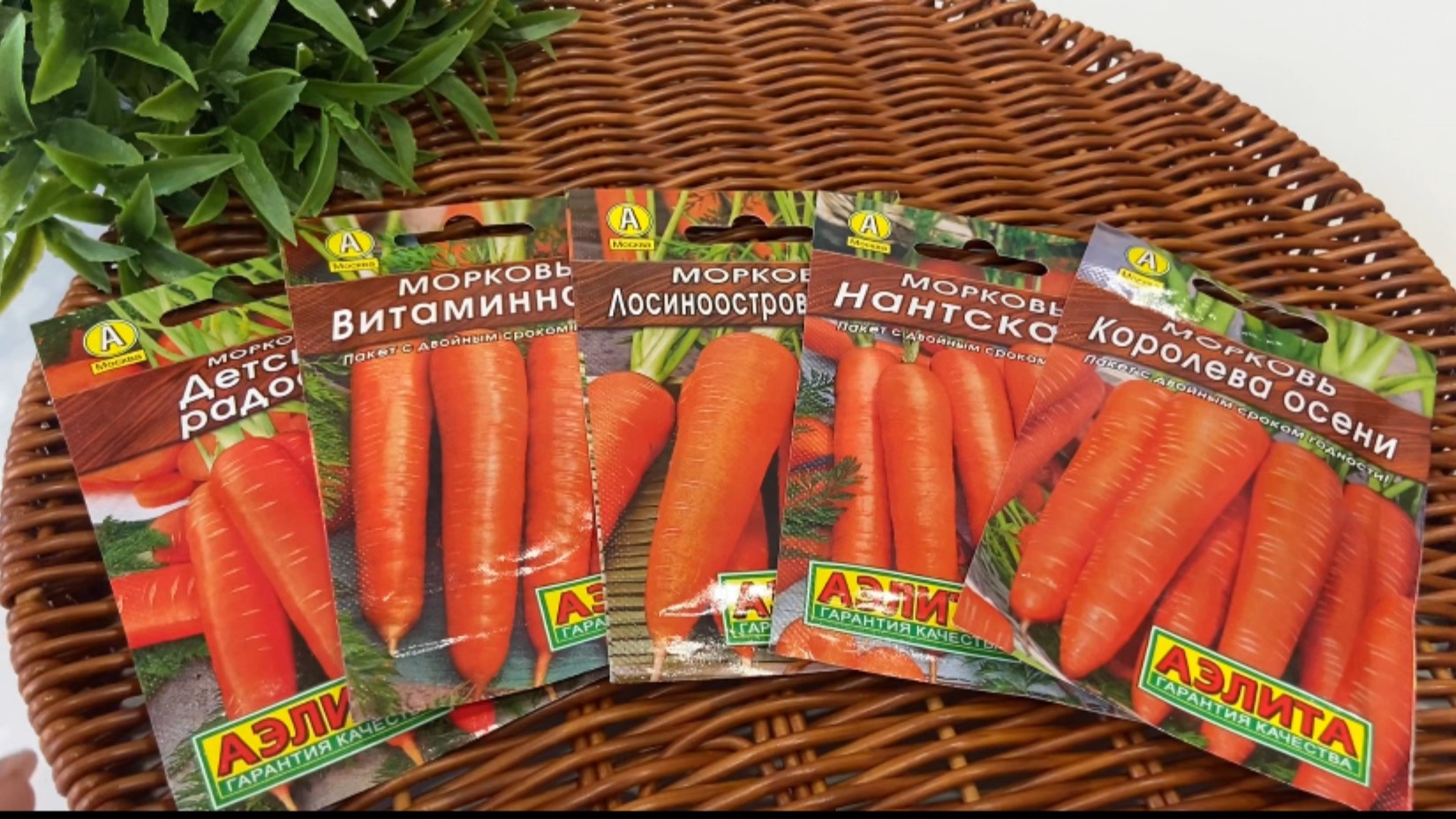 Обзор семян моркови. смотреть онлайн