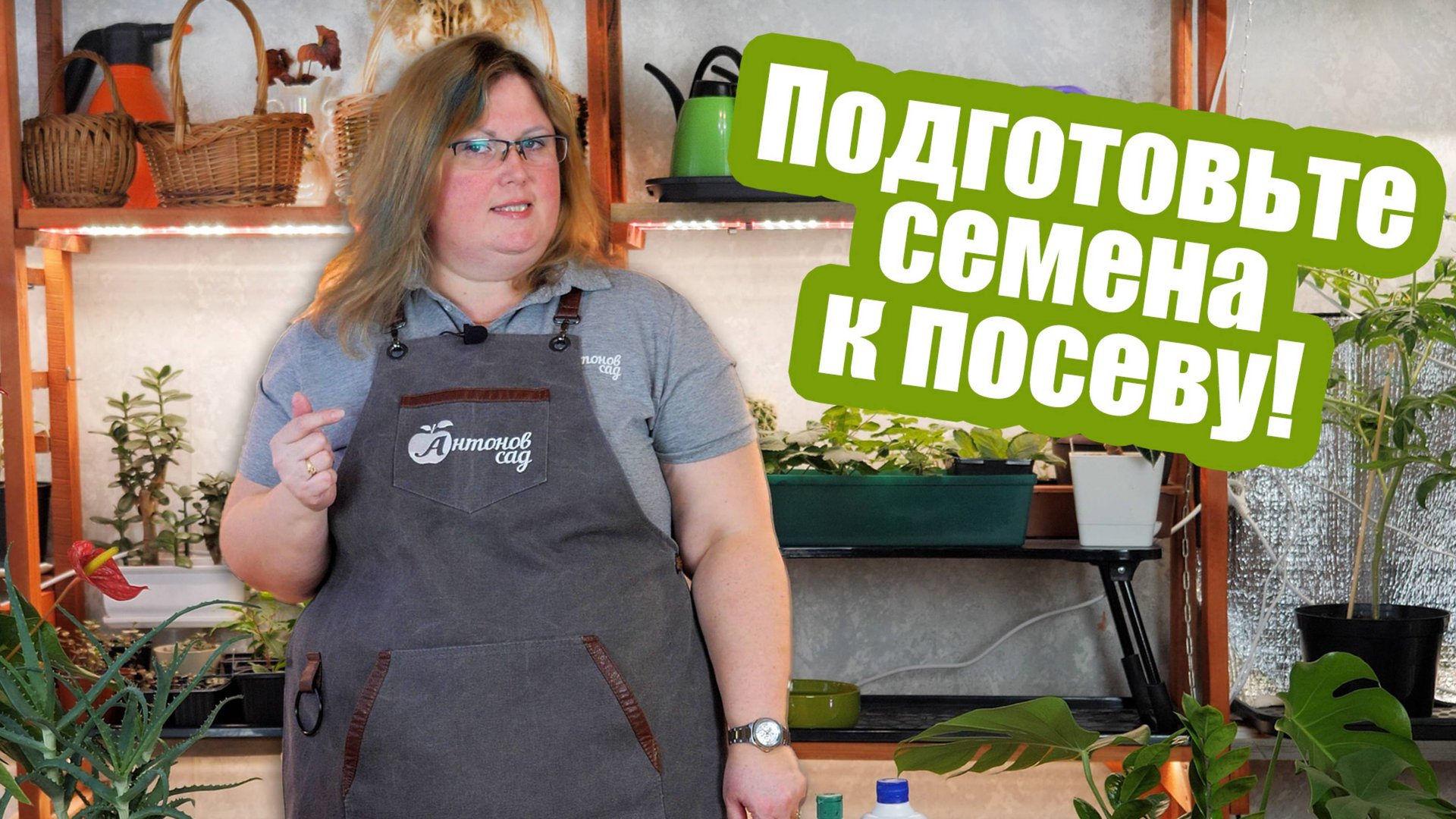 В чем замачивать семена? РАБОТАЮЩИЕ средства для подготовки семян! смотреть онлайн