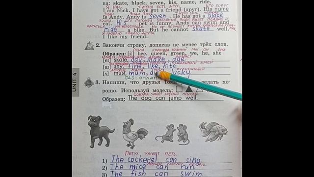2 класс. Английский язык.Рабочая тетрадь. Биболетова. Lesson 59. Страница 64. С комментированием смотреть онлайн
