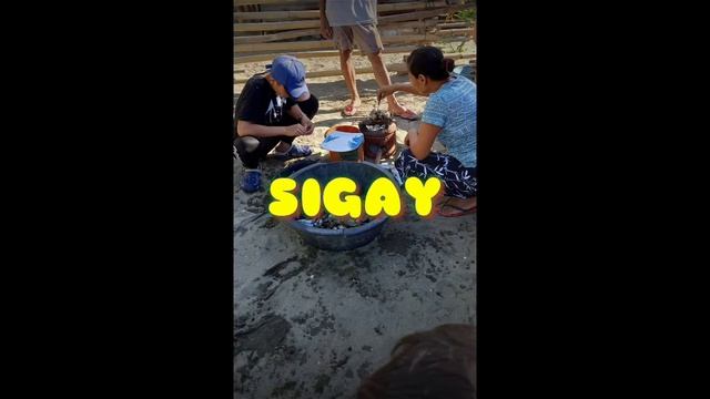 🔵Sigay (ilocano Reggae) смотреть онлайн