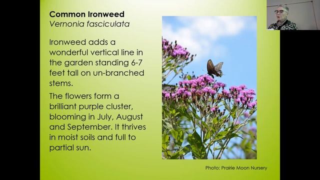 Meet the Plants & Rollout of the Grants смотреть онлайн