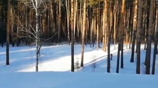 Российский Спортивный Союз Инвалидов-Спорт Норма Жизни! смотреть онлайн