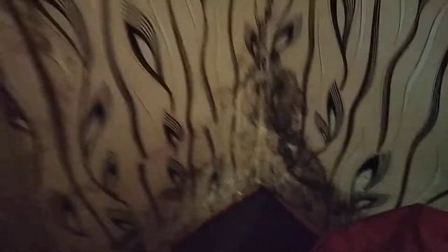Верни деньги детям безпридельщик смотреть онлайн