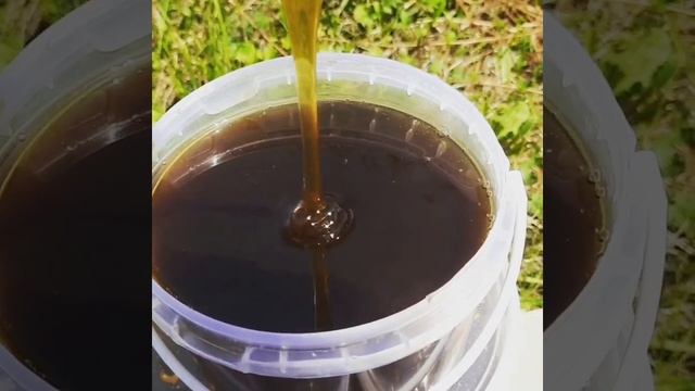 Дягилевый мёд с личной пасеки смотреть онлайн