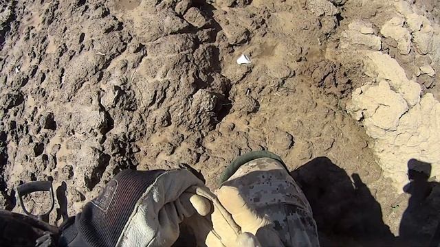 Реальный поиск с металлоискателем XP ORX на распашке смотреть онлайн