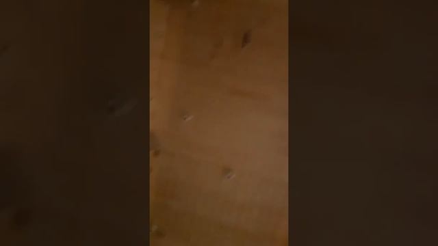 Коптильня с электростатикой, также для сушки и вялинья продукта. смотреть онлайн