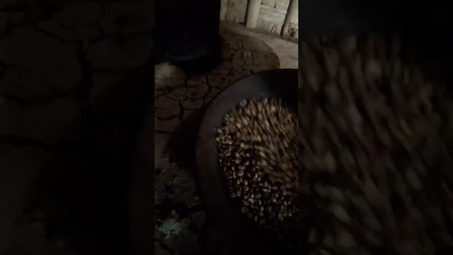 What is the process of original coffe смотреть онлайн