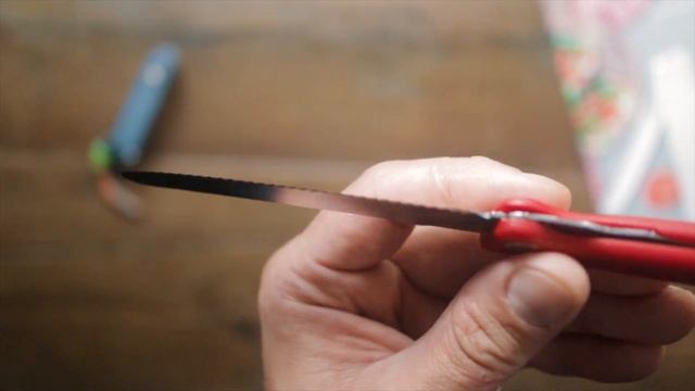 Victorinox Foldable Paring Knife (perfect for the outdoors, travel… and the kitchen..?) смотреть онлайн