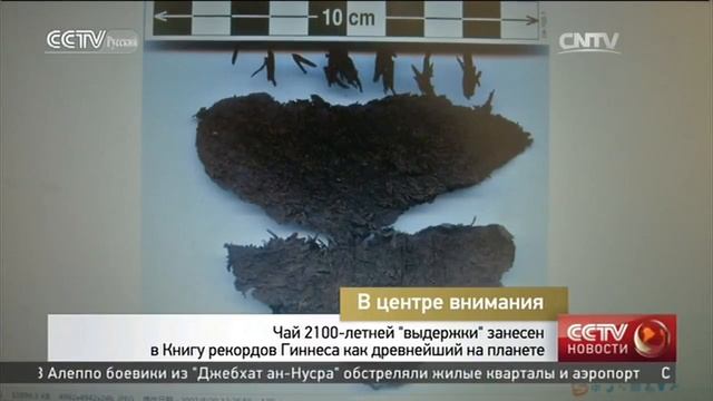 В центре внимания смотреть онлайн