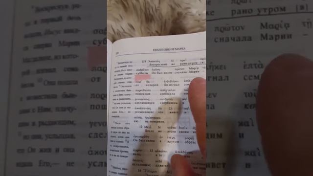 Как обманули миллионы "Христиан" смотреть онлайн