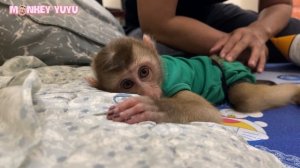 Monkey YuYu is angry because Mom didn't buy her a gift!