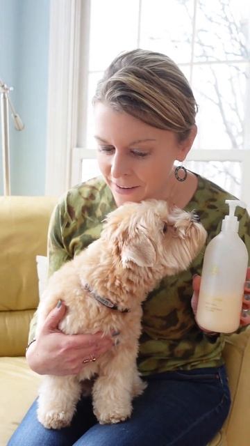 Alternative to Typical Dog Shampoo смотреть онлайн