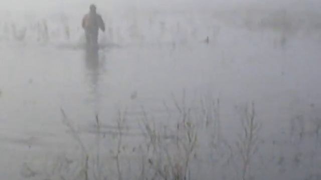 Охота на утку загоном.AVI смотреть онлайн