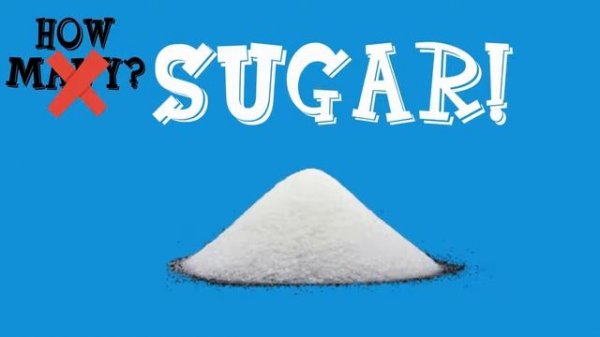 How much How many Song