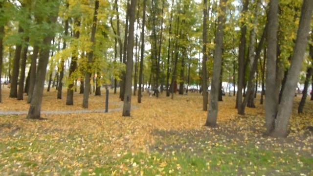газ автомат . арт обекты .обновленный парк демский. деревья цветы прогулка днем 23 09 2023 новости смотреть онлайн