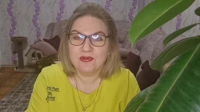 Обзор. Лиза Бон летит в Таиланд, Нижний будет очень рад 💯 смотреть онлайн