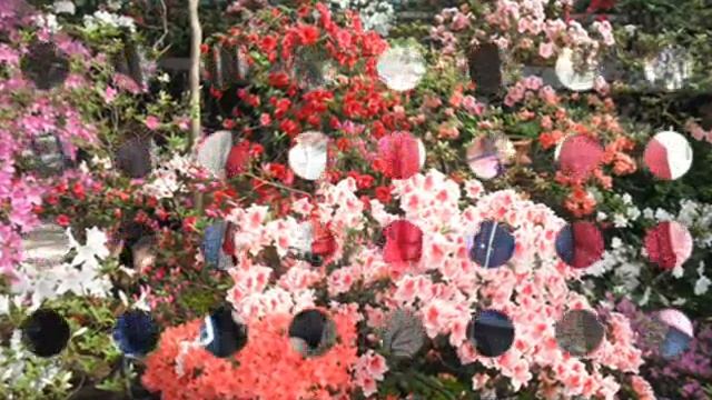 выпускной 2010 из начальной школы 4а.mp4 смотреть онлайн