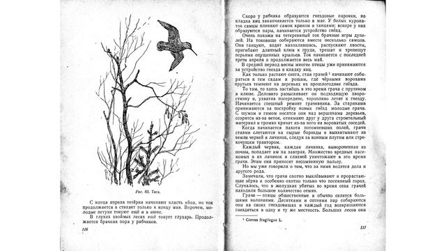 Календарь природы. Покровский смотреть онлайн