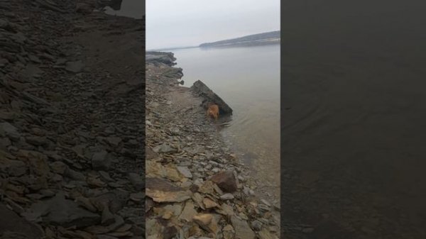 Вся таблица Менделеева.