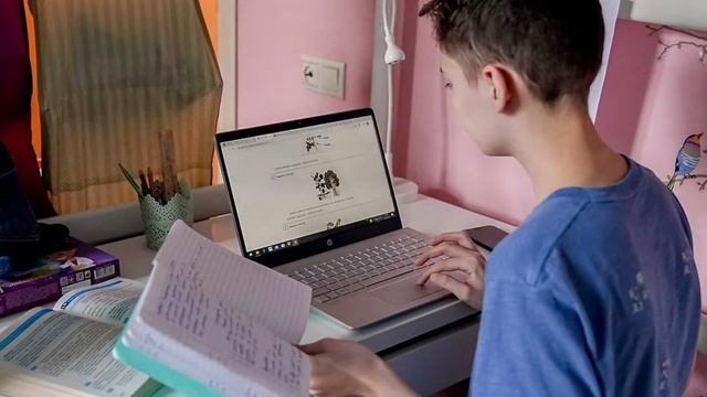 Плюсы и минусы дистанционного обучения смотреть онлайн