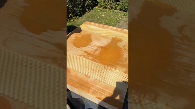 Обучение как ключевой фактор успеха в бизнесу смотреть онлайн