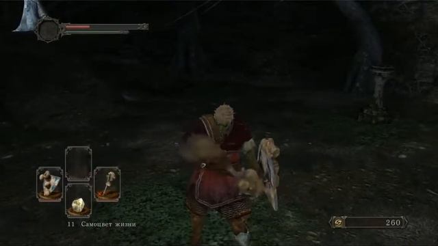 Как управлять героем на ПК разверните описание Dark souls 2 смотреть онлайн