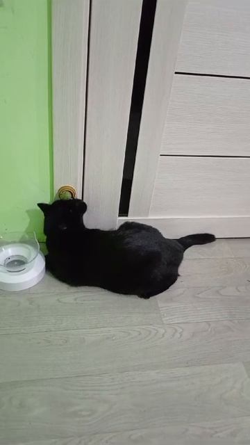 1000035836.mp4 смотреть онлайн