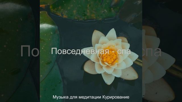 Видения (Медитация) смотреть онлайн