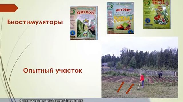 Школьники Сосновки вышли на всероссийский уровень смотреть онлайн