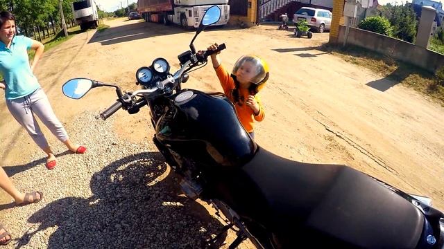 Степа и хорнет смотреть онлайн