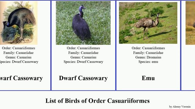 List of Birds of Order Casuariiformes ater cassowary Emu Dromaius Unicorn Island Whales Dwarf смотреть онлайн